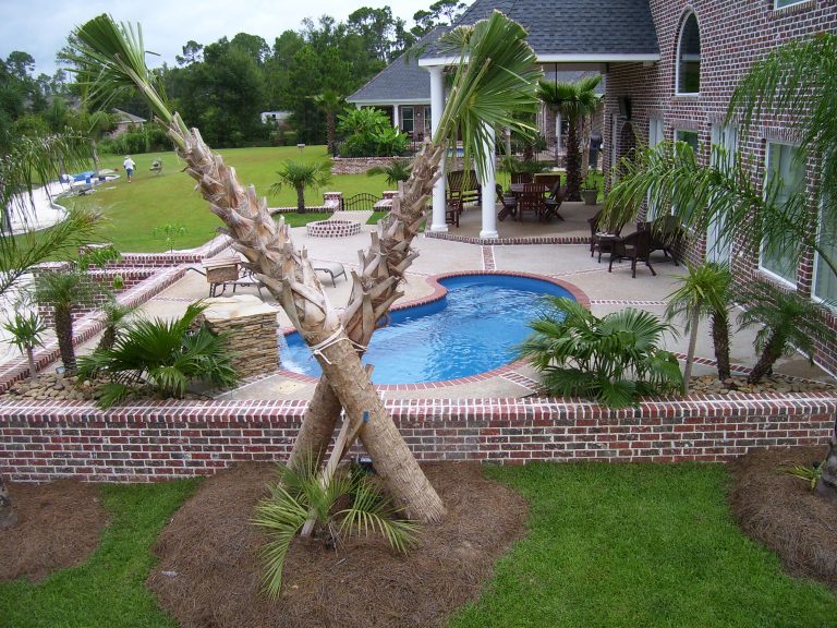 Opal in California Shimmer